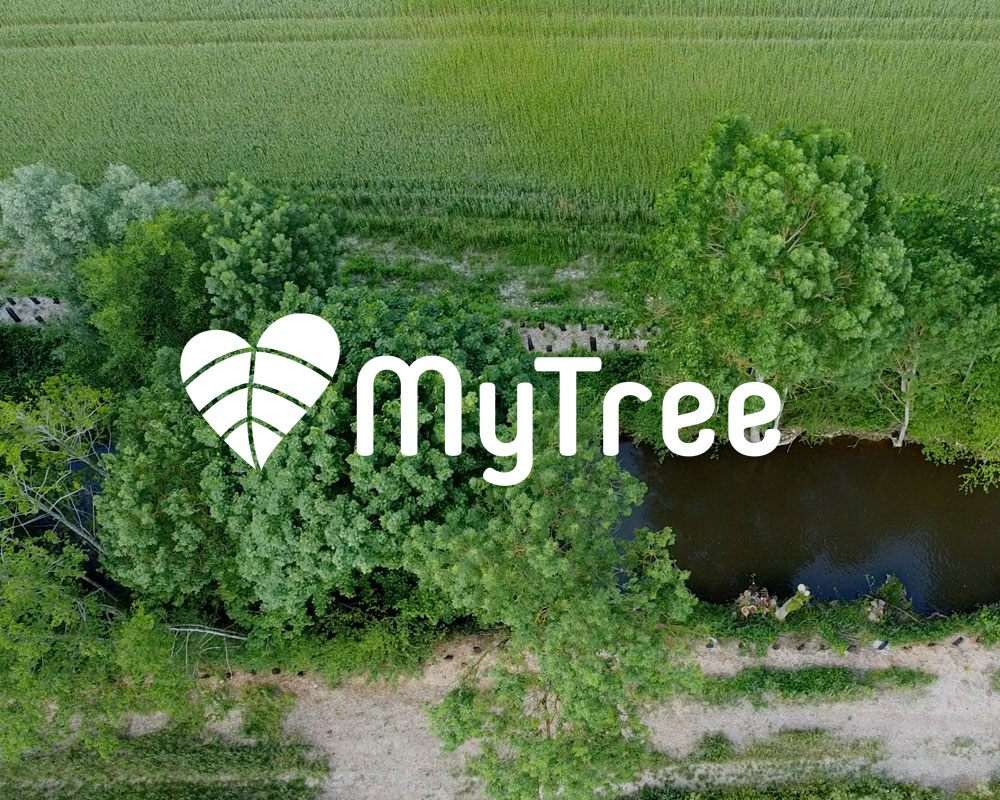 alt="logo my tree arbre planter"
